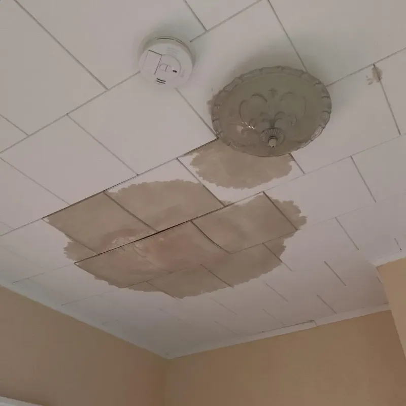 Ceiling Water Damage Repair in Marietta, OK