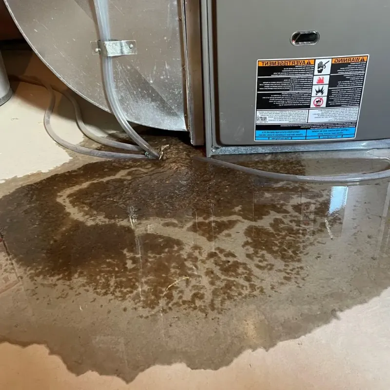 Pipe Burst and Leak Restoration in Marietta, OK
